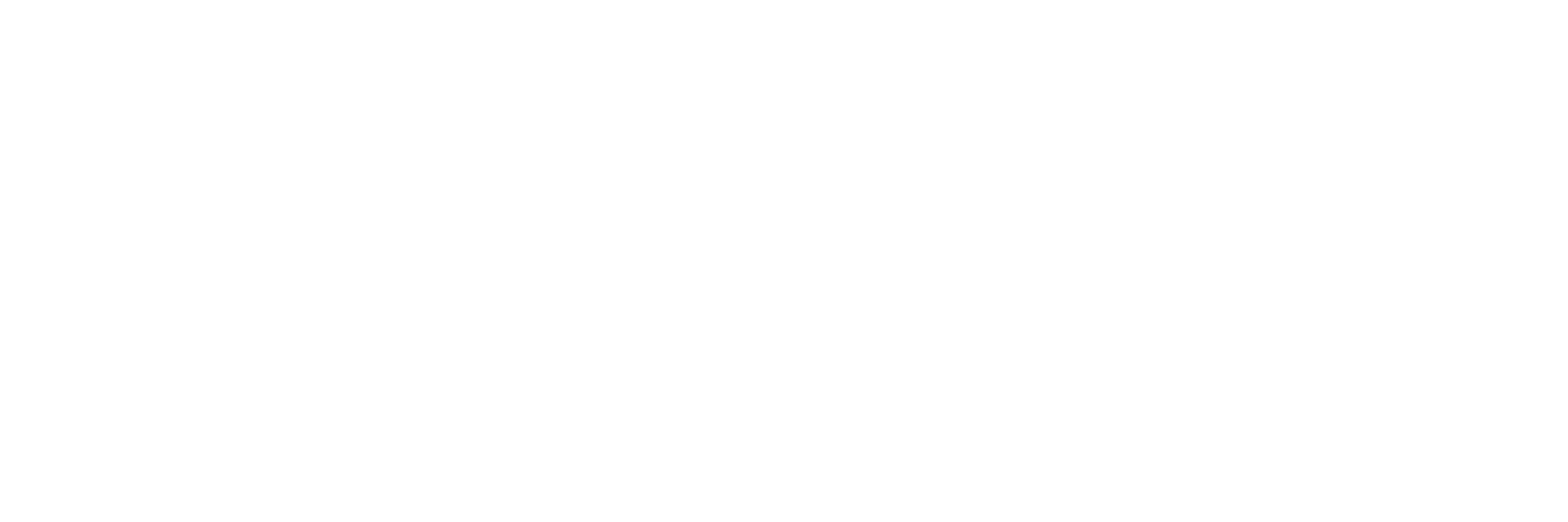SkopeAero